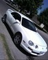 1994 ST Coupe Photo